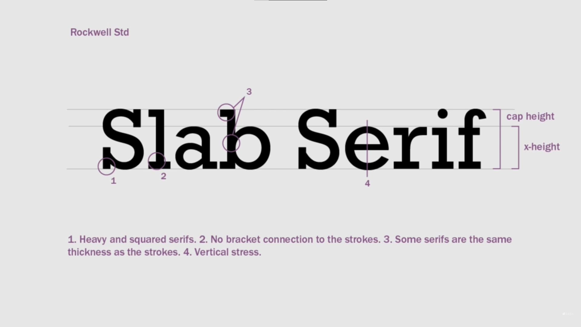 slab serif typefaces
